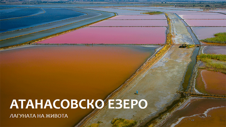 Лагуната на живота - в полза на видове и местообитания
