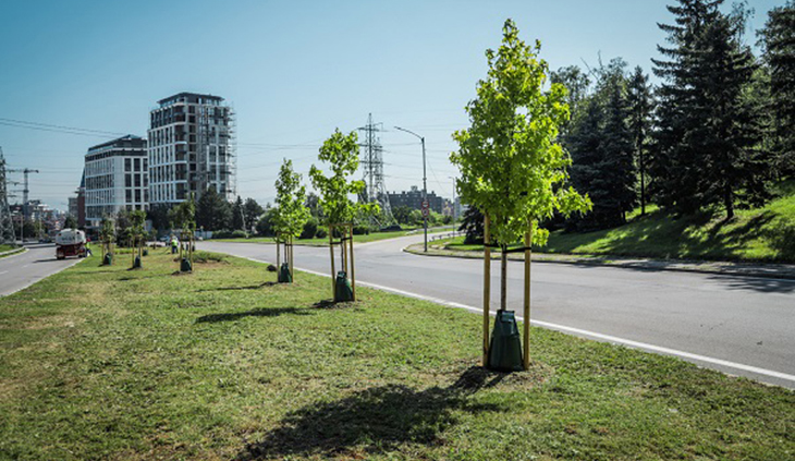 Засадиха над 200 храста и 65 фиданки с бавно напояване на столичния бул. БЪЛГАРИЯ